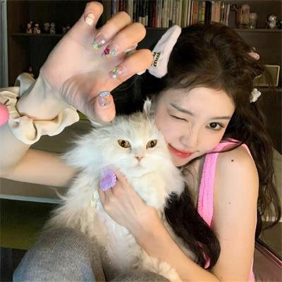 加菲猫和他的朋友们第二季
